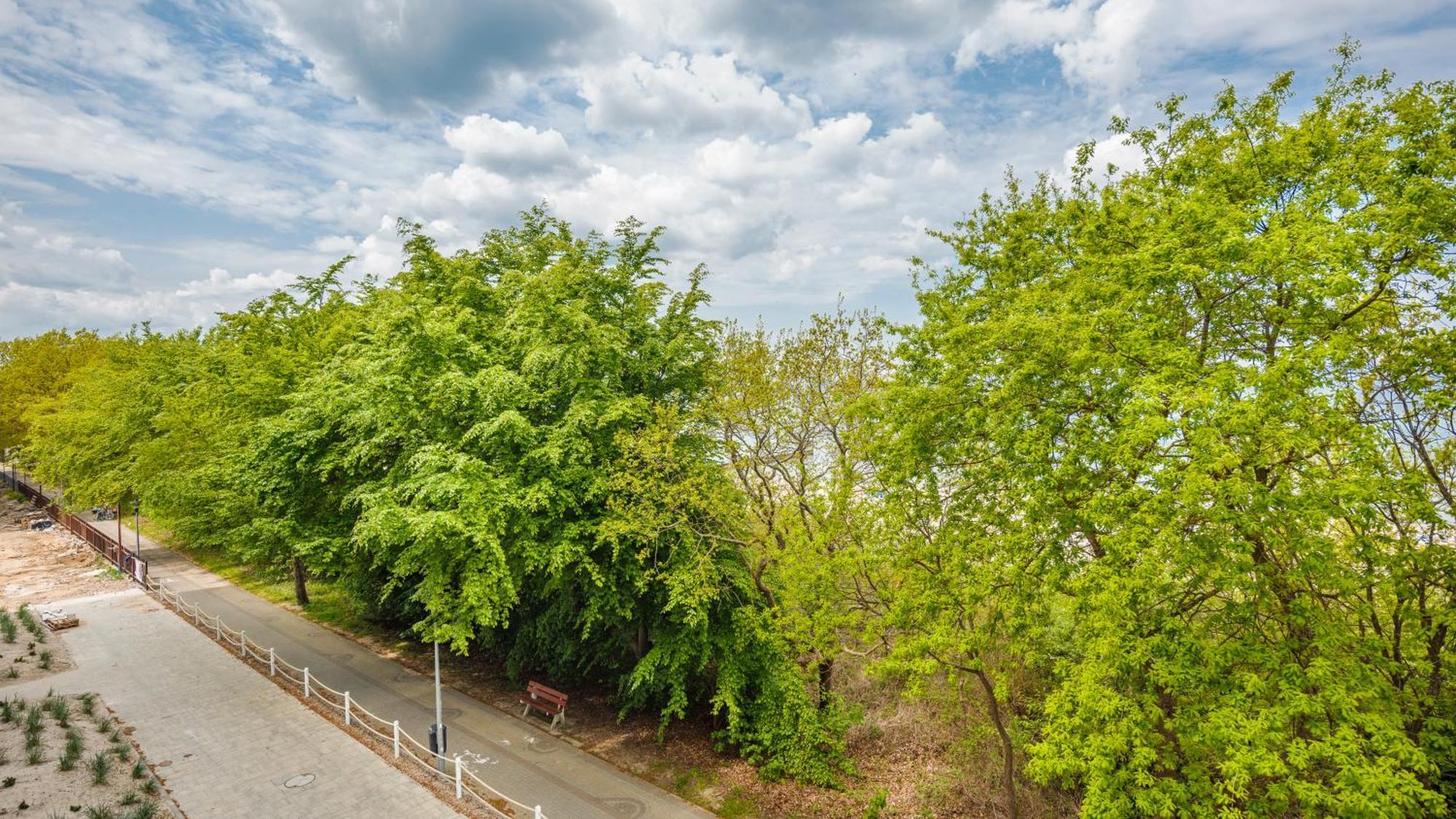 Lazurowe Wybrzeze Z Widokiem Na Morze - Perlowa Przystan - Holiday City Sianozety Exterior foto